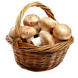 © Kamonwan - A basket filled with fresh mushrooms, perfect for culinary delights and recipes., isolated on a transparent background.