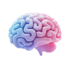 Wall Mural - gradient blue and pink human brain 3d render icon isolated on transparent background cutout