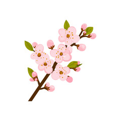 Wall Mural - Cherry Blossom Branch with Pink Flowers Vector Illustration