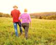 © Lumos sp - woman man outdoor senior couple happy lifestyle retirement together smiling love old nature mature back view walking future hope happy holding hands
