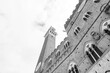  The Palazzo Pubblico, town hall is a palace in Siena, Italy