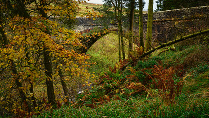 Wall Mural - ashgill road bridge above ashgill force, located near garrigill, cumbria in the north pennines aonb 