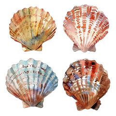 Canvas Print - A watercolor of a set of scallop shells, isolated on a white background. Scallop shells vector.