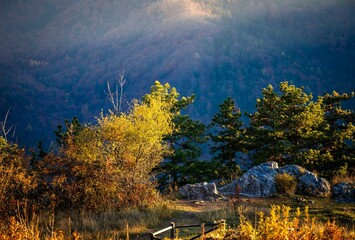 Sunlit autumn trees on a mountain landscape.