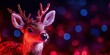 © Brian - nochebuena holiday concept