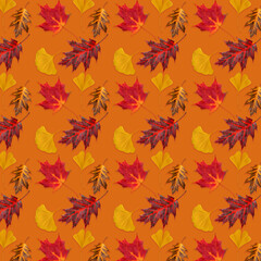 Canvas Print - Pattern of autumn  leaves on a orange background.