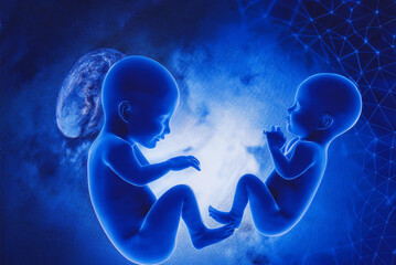 Wall Mural - twins embryo effect