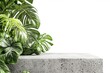 © Vii - A concrete block with a growing plant on top