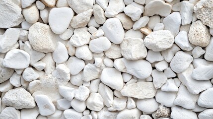 Canvas Print - smooth white pebbles creating a pure texture on the surface tiny stones scattered across the ground