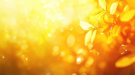 Wall Mural - Vibrant summer backdrop with a warm yellow glow ideal for template design