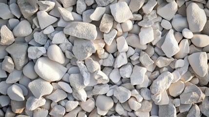 Canvas Print - smooth white pebbles creating a pure texture on the surface tiny stones scattered across the ground