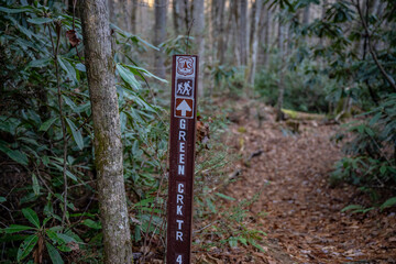 Poster - Whiteside Mountain in Western North Carolina