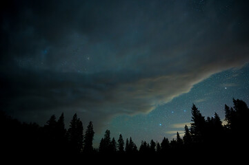 Wall Mural - starry night sky with gray clouds tree silhouettes and bluish sky background color