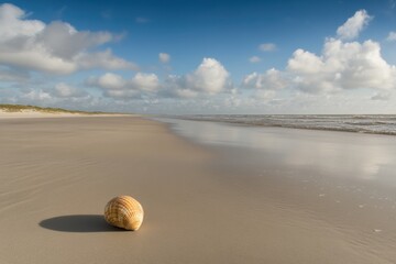 Poster - A solitary seashell rests on a sandy beach, surrounded by gentle waves and a clear blue sky, creating a serene coastal atmosphere. Generative AI