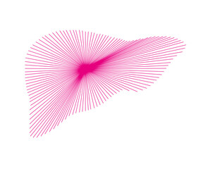 Wall Mural - Abstract human liver. Liver vector. Liver design.