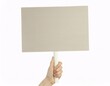 © RifaldiMuhammadSalim - a woman’s hand holding a blank protest sign against a white background.