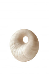 Wall Mural - Whitewashed Seashell Artistic Edit with Black and Gray Gradient Background