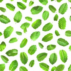 Wall Mural - Seamless pattern of fresh mint leaves falling against a white background, creating a refreshing and vibrant visual