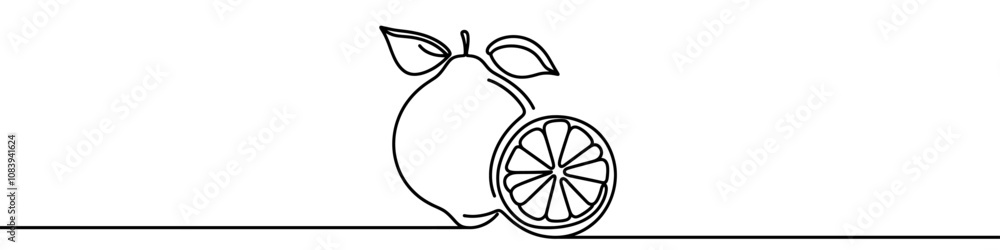 One continuous line illustration of a lime, isolated on white ...