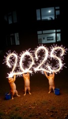 Wall Mural - light group air writing cats 2025 sparklers playing trails