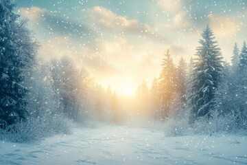 Sticker - Winter sunrise over a snowy landscape with pine trees in a serene natural setting