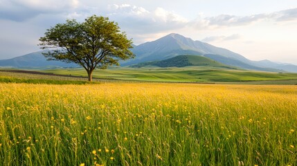 Canvas Print - A serene landscape featuring a vibrant yellow flower field, a solitary tree, and majestic mountains in the background, Ideal for nature-themed projects, travel blogs, and peaceful desktop wallpapers,