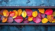© MUMTAZ - Colorful autumn leaves arranged on a rusted surface, showcasing seasonal beauty.