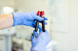 © Hanna Bondarenko - Hands of a doctor or nurse in blue medical gloves hold test tubes with blood. Blood sampling in the hospital. Blurred background, details.