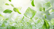 © Liudmyla - Ice cubes and fresh mint leaves appear to levitate against a bright background