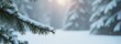 © 2April - Snowy Pine Branch in Winter Wonderland, Peaceful Winter Forest Scene Concept.