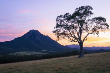 Poster - A serene landscape featuring a mountain at sunset with a solitary tree in the foreground.