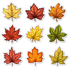 Wall Mural - Hand-drawn of maple leaves in autumn colors, a white background