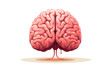 © wathanya - Isolated Human Brain Illustration on White Background