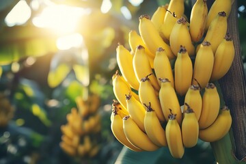 A sunny garden full of tropical banana trees outside. Generative Ai