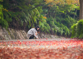 Wall Mural - 秋の公園の赤色の紅葉の落ち葉と散歩する女子高校生の姿