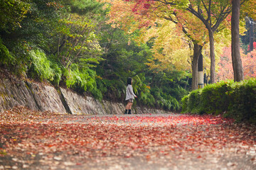 Wall Mural - 秋の公園の赤色の紅葉の落ち葉と散歩する女子高校生の姿