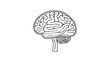 © Giorgi - human brain vector outline illustration, brain idea think black and white vector illustration