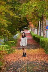 Wall Mural - 秋の公園の赤色の紅葉の落ち葉と散歩する女子高校生の姿