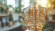 © kanesuan - Close-up of spine model being used for patient education in bright office