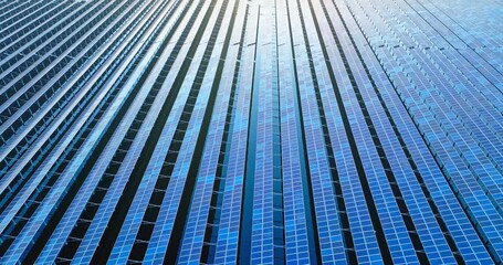 Wall Mural - A large number of solar panels on the river at sunrise