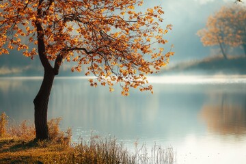 Wall Mural - A solitary tree stands near the shore of a serene body of water, offering shade and beauty