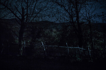 Wall Mural - old house with a ghost in the forest at misty night or night scene with house under moon. old mystic