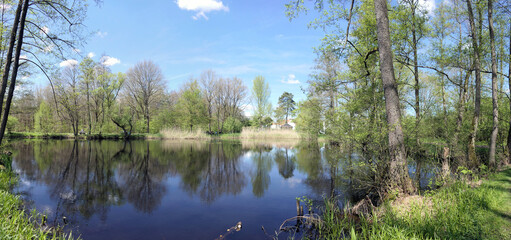 Wall Mural - Seerosenweiher bei Muehlheim am Main