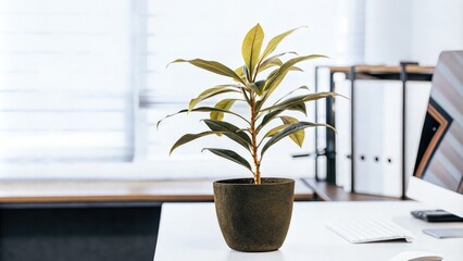 Sticker - Indoor Plant in Office Setting Adding Greenery and Life to Workspace. Generative AI