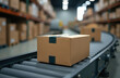 © OksKutsenko - Efficient package delivery process in modern warehouse with conveyor belt system