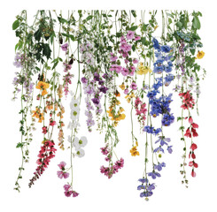 Wall Mural - PNG Colorful wildflower hanging decor