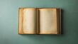 © HPMP Studio - Opened book with Grungy Blank page