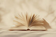 © Marina Shvedak - Open book with flipping pages on light beige background