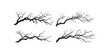 © lway - Set of giant dead branches with many branches white background
