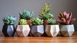 © Power Of Future - A minimalist arrangement of succulents and cacti in geometric ceramic pots placed on a wooden surface with a clean white backdrop, emphasizing natural beauty and simplicity
